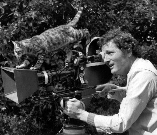 Retro film klubi tomonidan rejissyor Klod Zidi suratga olgan fransuz kinokomediyalarining namoyishi bo‘lib o‘tadi